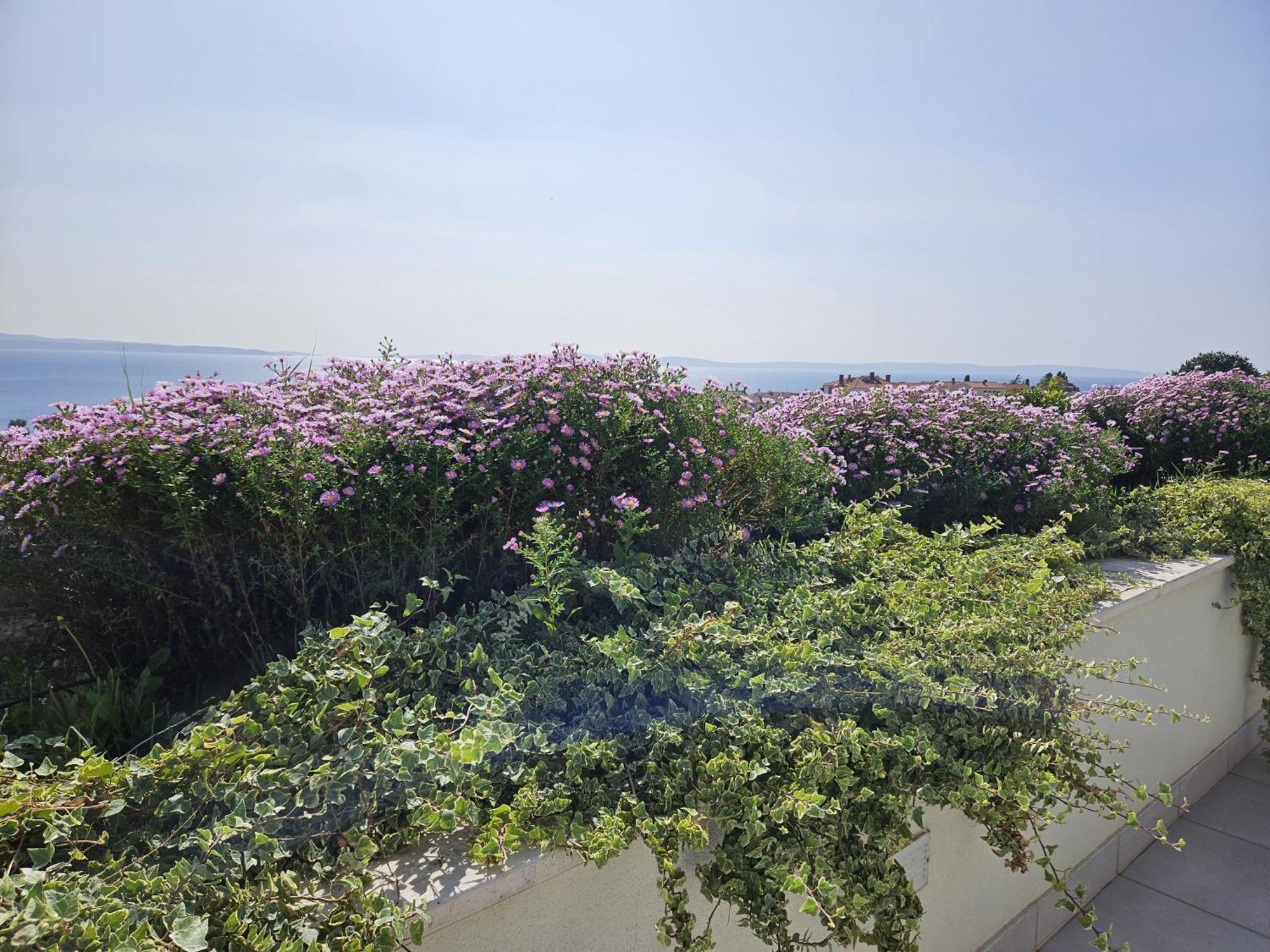 Tajla Rooms Split Dış mekan fotoğraf